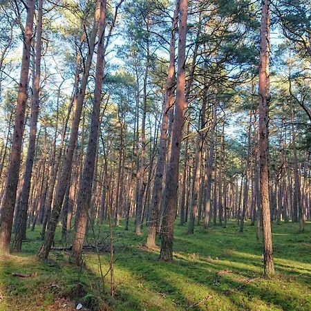 Lighthouse -sloneczne Tarasy Dziwnowek-sannel For Rent شقة دجيفنوفيك